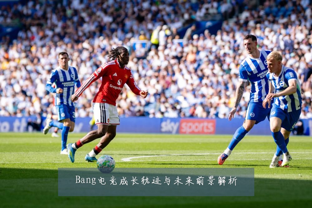 Bang电竞成长轨迹与未来前景解析